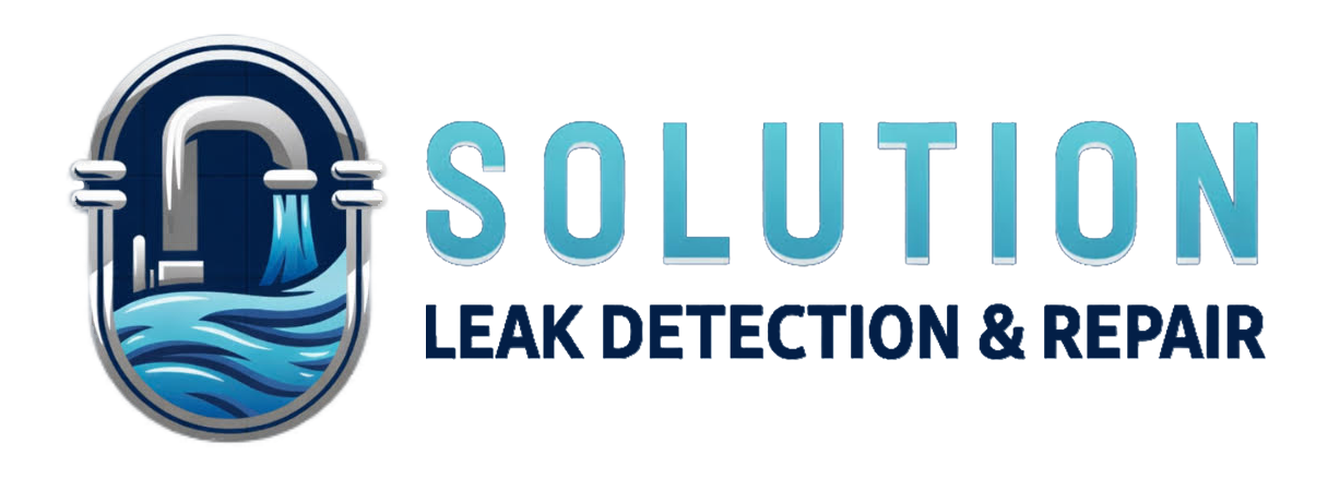 Solution Leak Detection and Repair