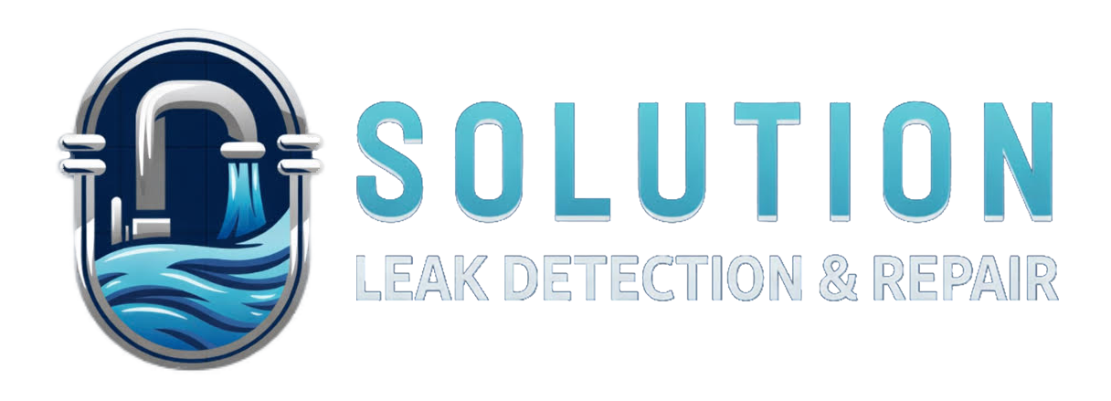 Solution Leak Detection and Repair